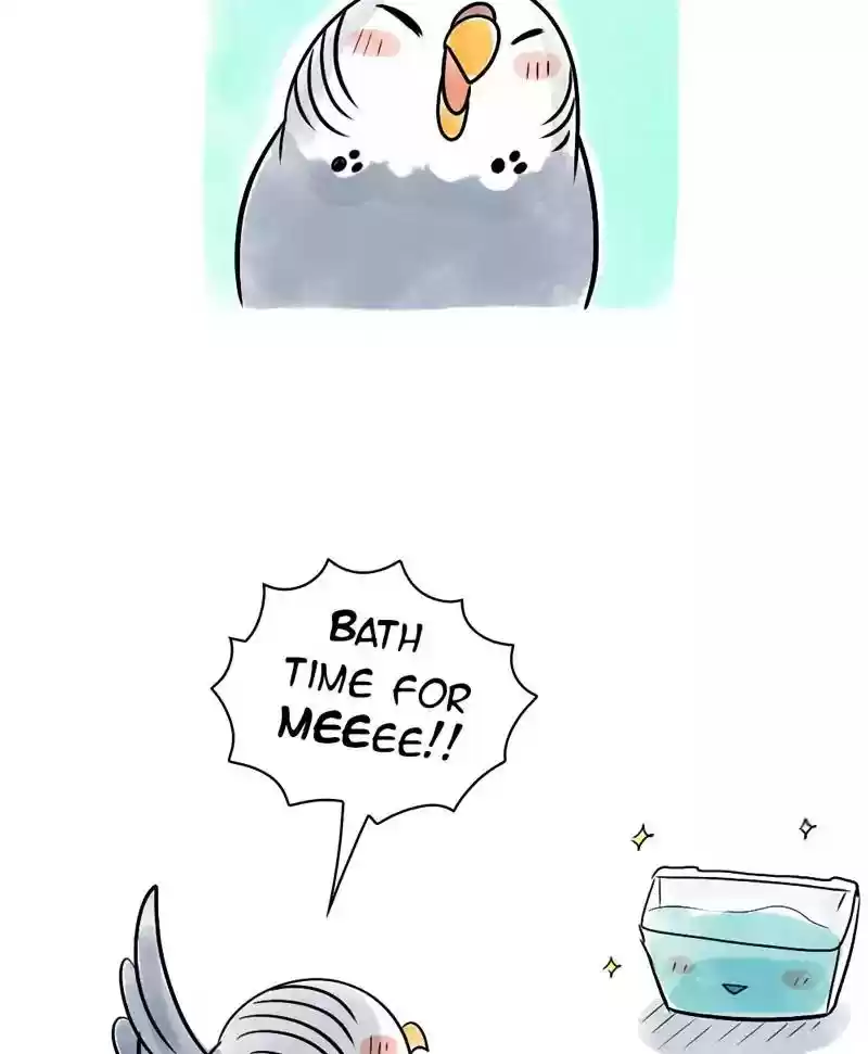 A Budgie's Life Chapter 118: Ep.118: