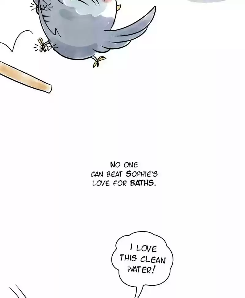 A Budgie's Life Chapter 118: Ep.118: