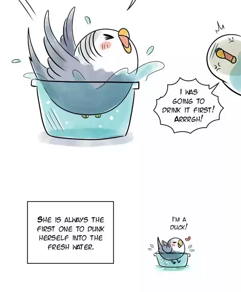 A Budgie's Life Chapter 118: Ep.118: