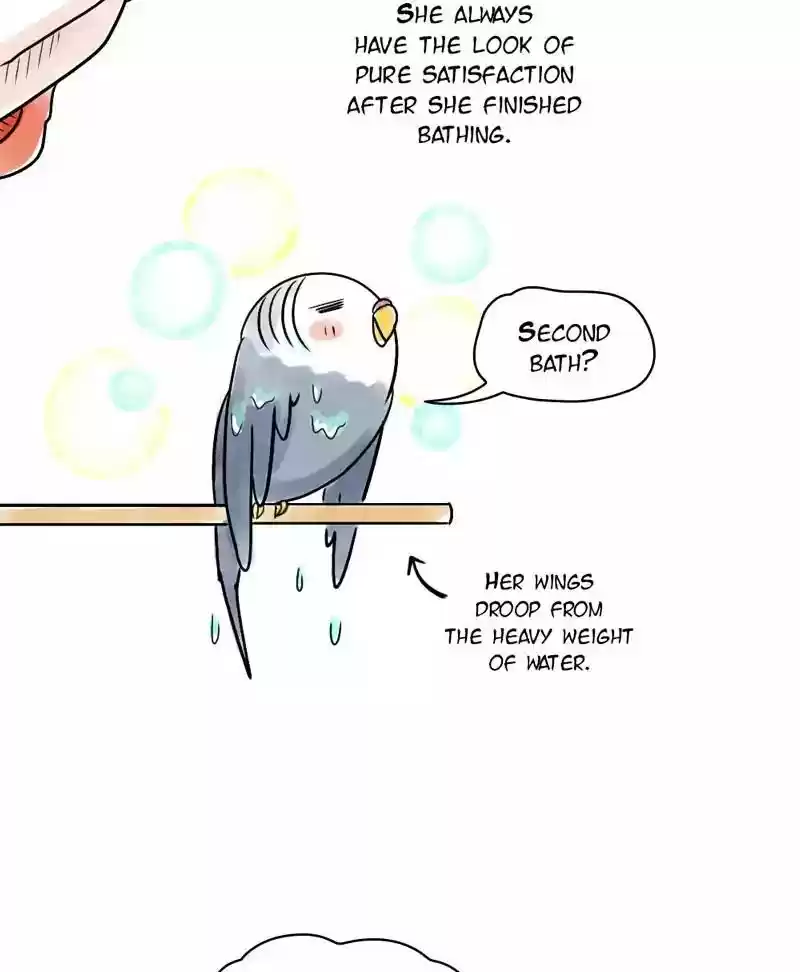 A Budgie's Life Chapter 118: Ep.118: