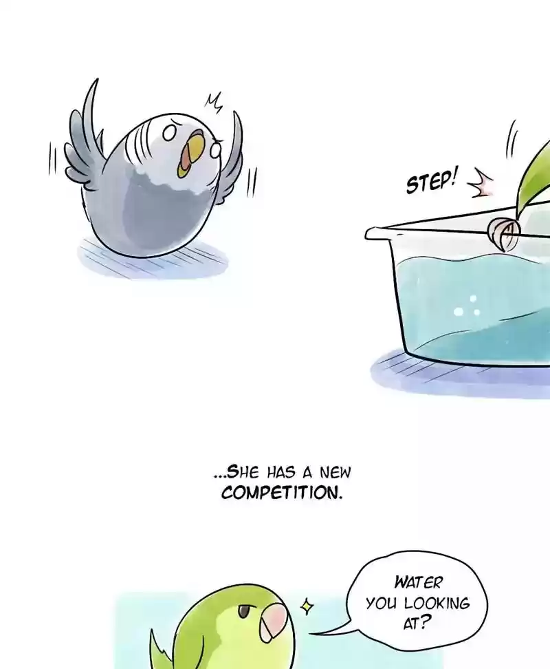 A Budgie's Life Chapter 118: Ep.118: