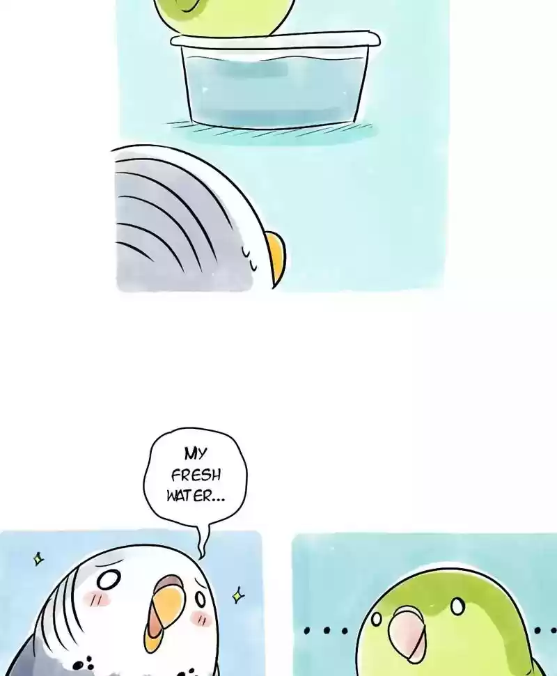 A Budgie's Life Chapter 118: Ep.118: