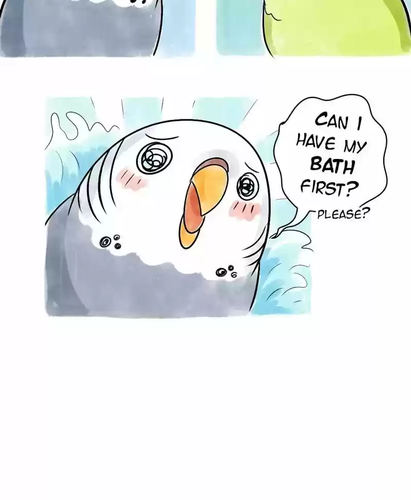 A Budgie's Life Chapter 118: Ep.118: