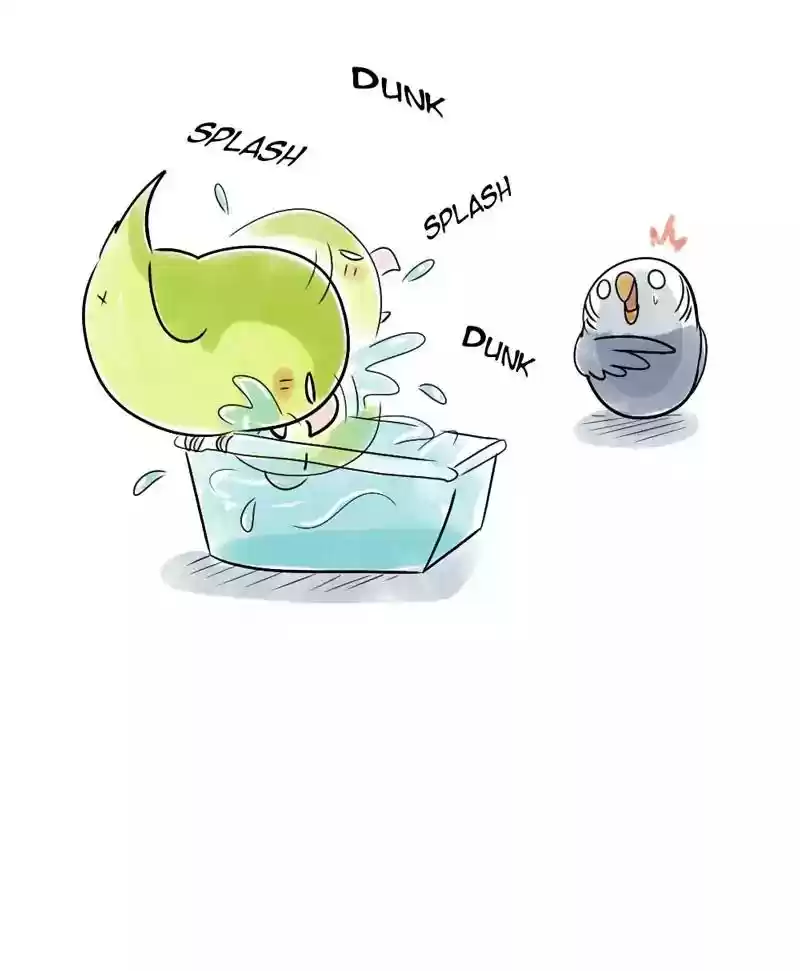 A Budgie's Life Chapter 118: Ep.118:
