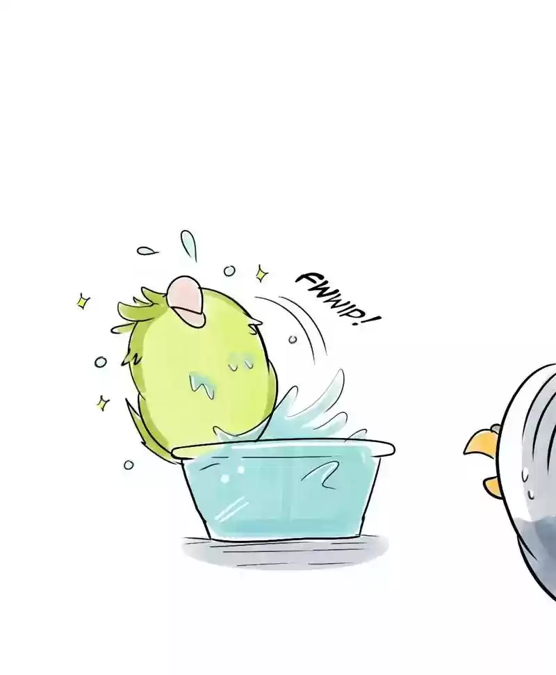 A Budgie's Life Chapter 118: Ep.118:
