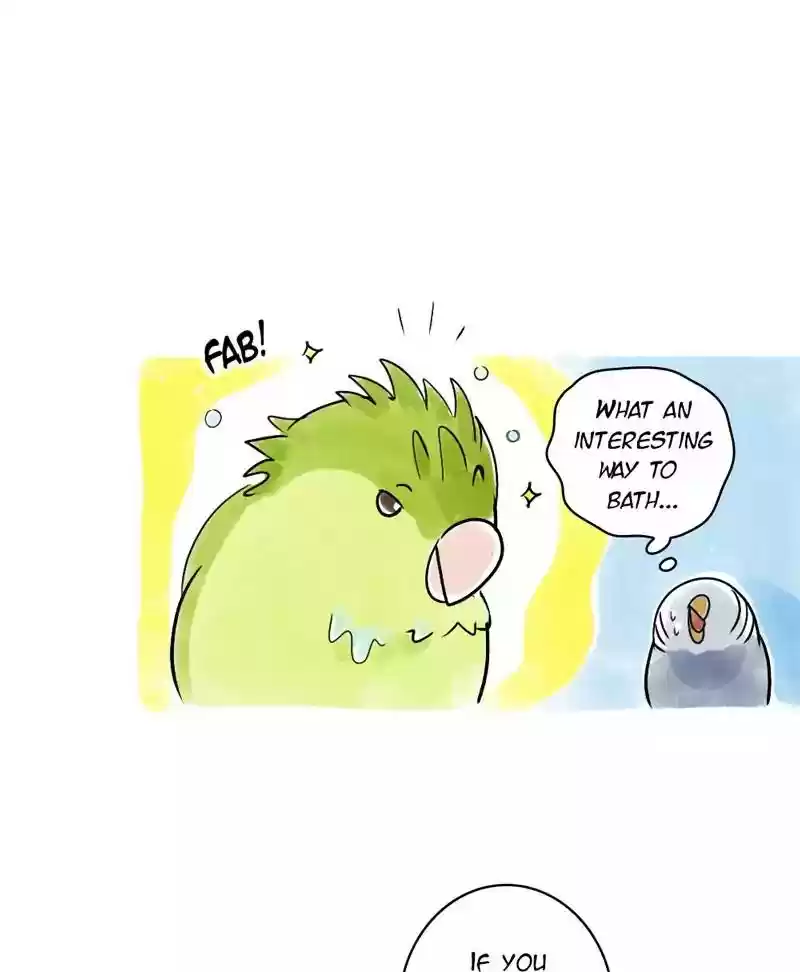 A Budgie's Life Chapter 118: Ep.118: