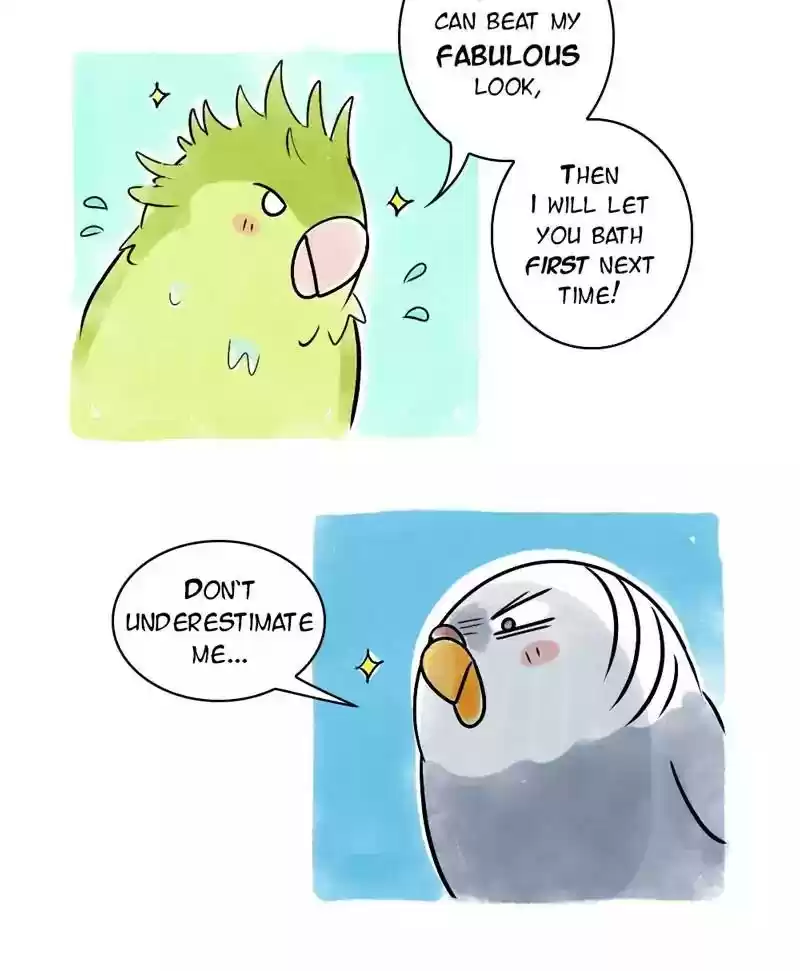 A Budgie's Life Chapter 118: Ep.118: