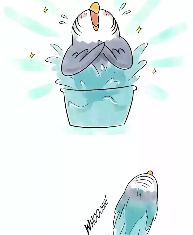 A Budgie's Life Chapter 118: Ep.118:
