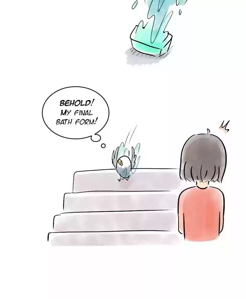 A Budgie's Life Chapter 118: Ep.118: