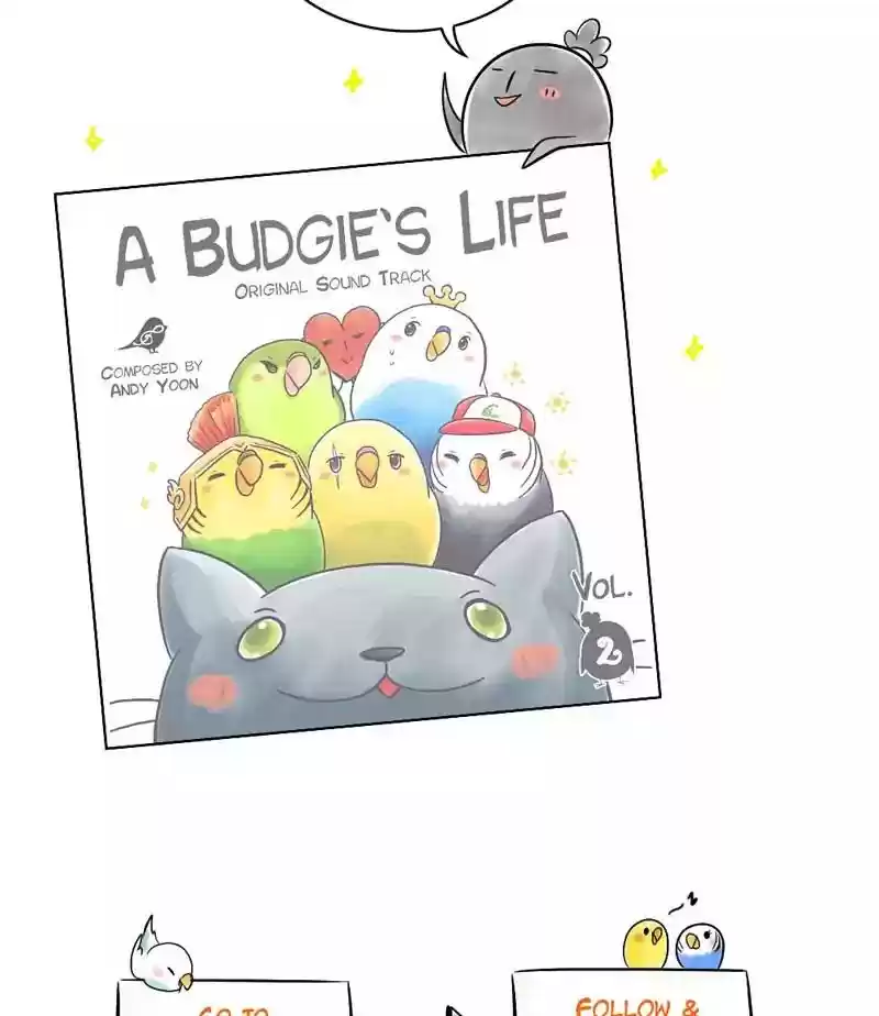A Budgie's Life Chapter 118: Ep.118: