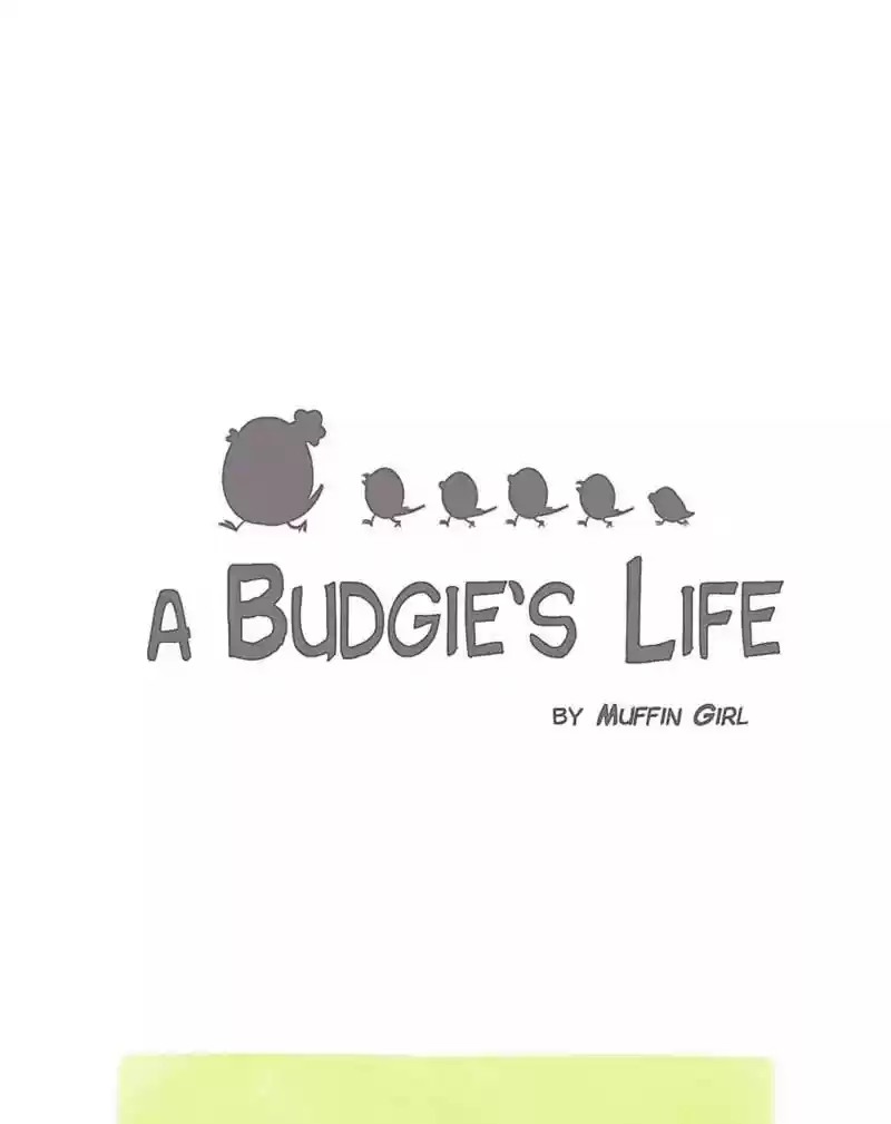 A Budgie's Life Chapter 119: Ep.119: