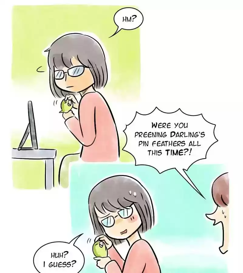 A Budgie's Life Chapter 119: Ep.119: