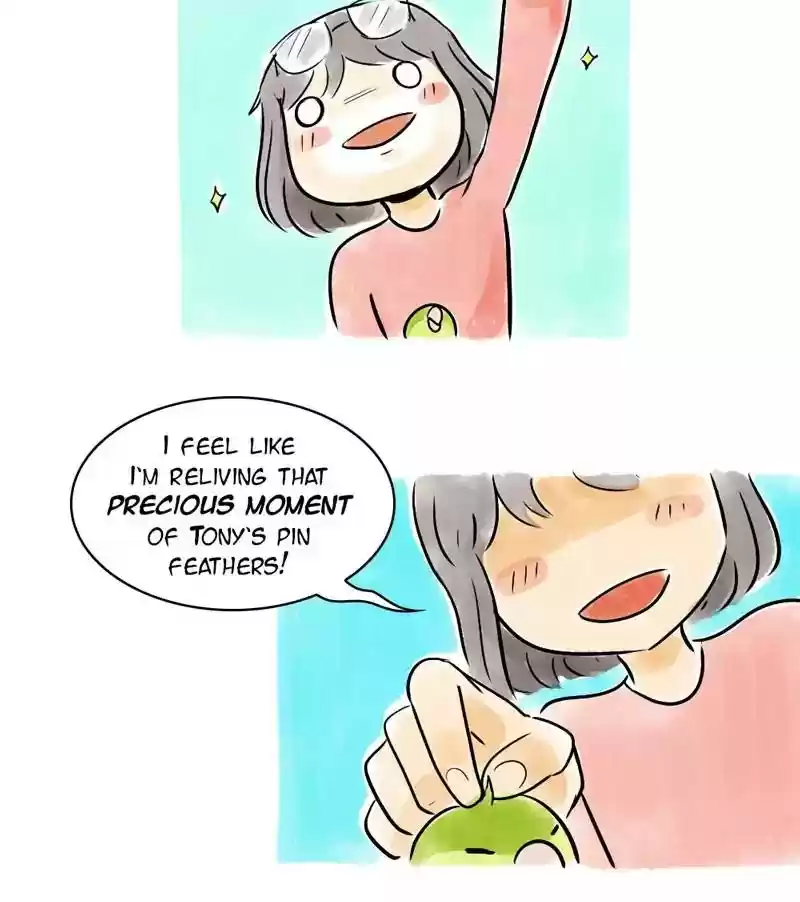 A Budgie's Life Chapter 119: Ep.119: