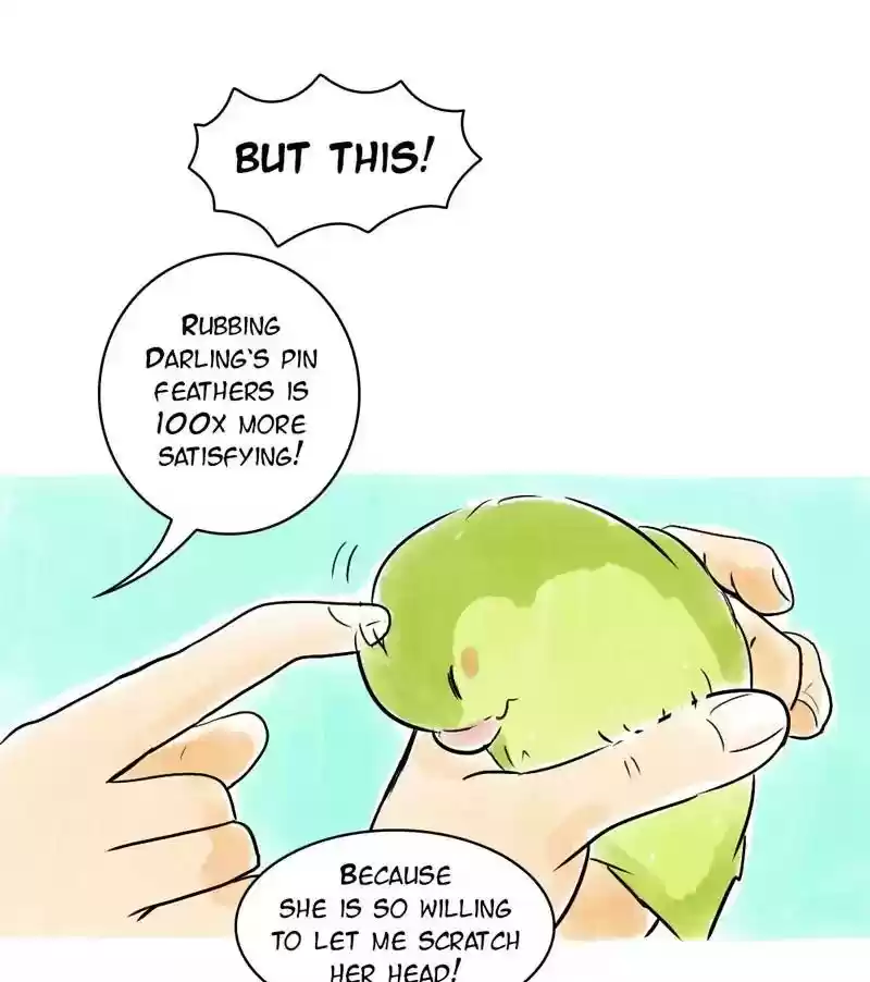 A Budgie's Life Chapter 119: Ep.119: