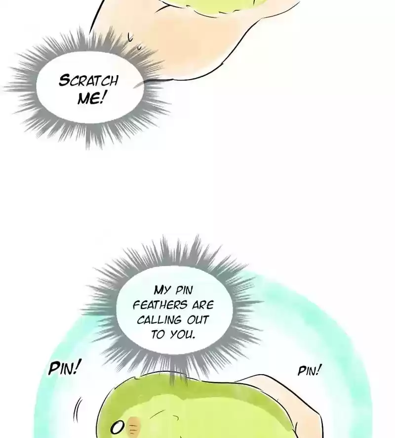 A Budgie's Life Chapter 119: Ep.119: