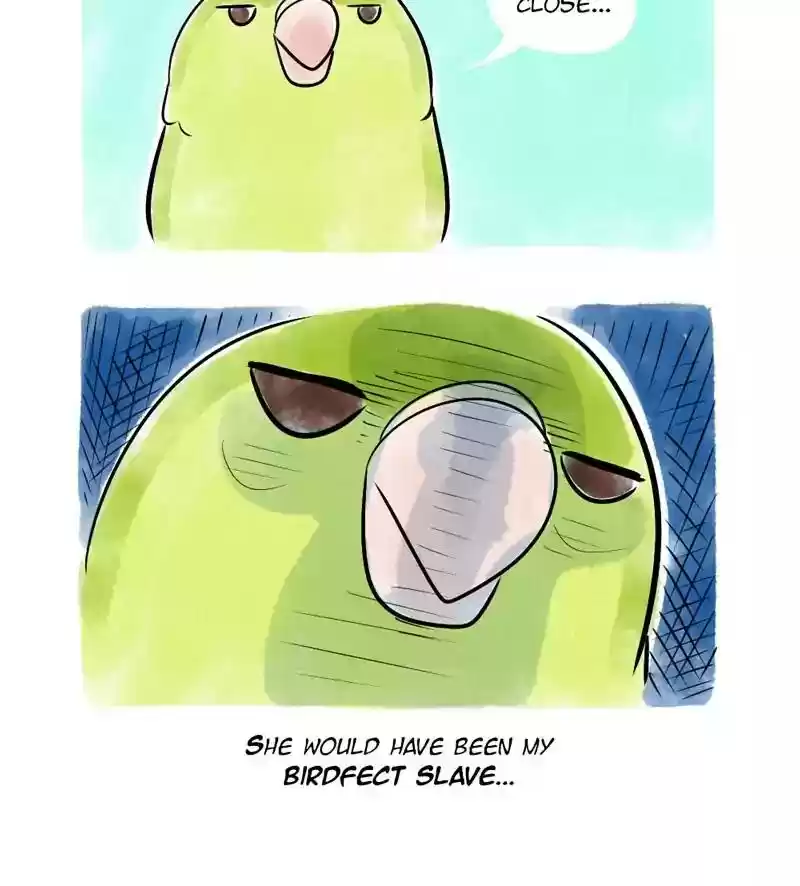 A Budgie's Life Chapter 119: Ep.119: