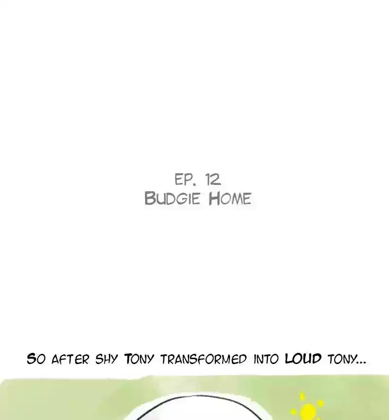 A Budgie's Life Chapter 12: Ep.12: