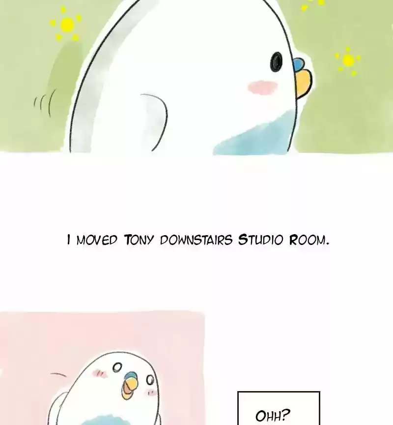A Budgie's Life Chapter 12: Ep.12: