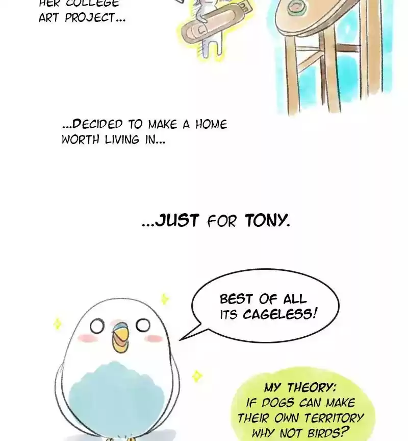 A Budgie's Life Chapter 12: Ep.12: