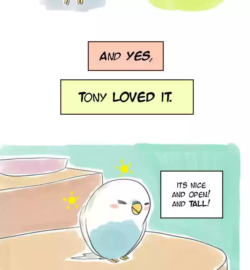 A Budgie's Life Chapter 12: Ep.12: