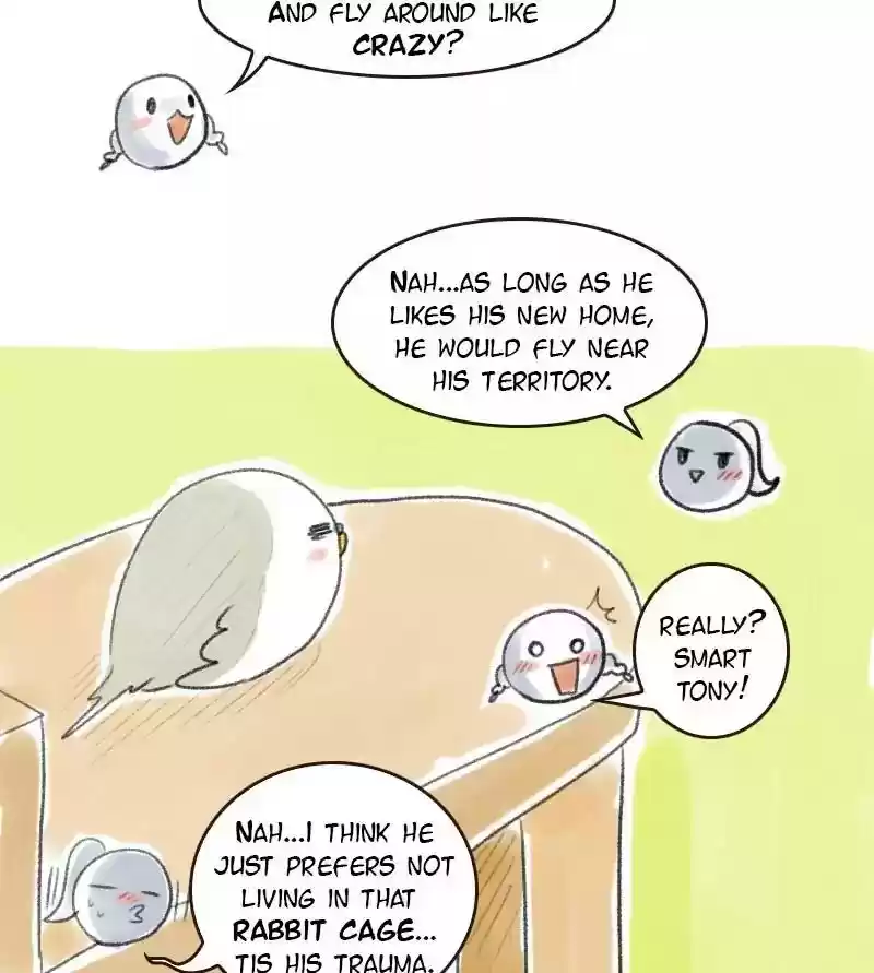 A Budgie's Life Chapter 12: Ep.12: