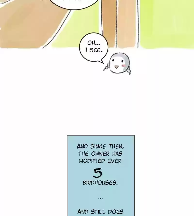 A Budgie's Life Chapter 12: Ep.12: