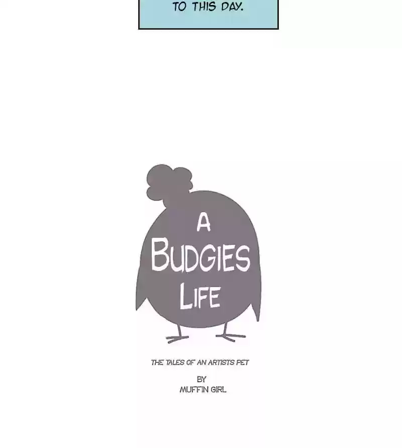 A Budgie's Life Chapter 12: Ep.12: