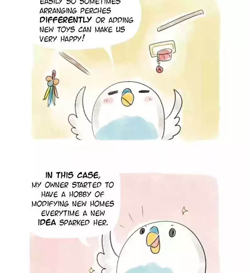A Budgie's Life Chapter 12: Ep.12: