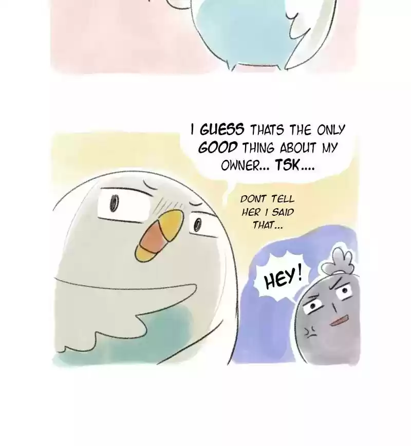 A Budgie's Life Chapter 12: Ep.12: