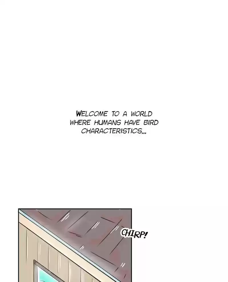 A Budgie's Life Chapter 120: Ep.120: