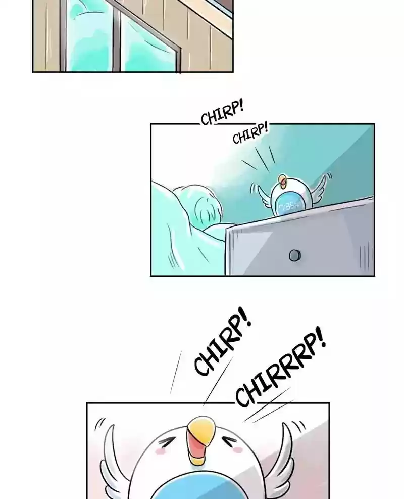 A Budgie's Life Chapter 120: Ep.120: