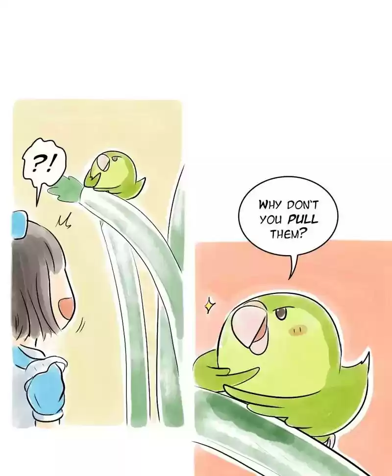 A Budgie's Life Chapter 121: Ep.121: