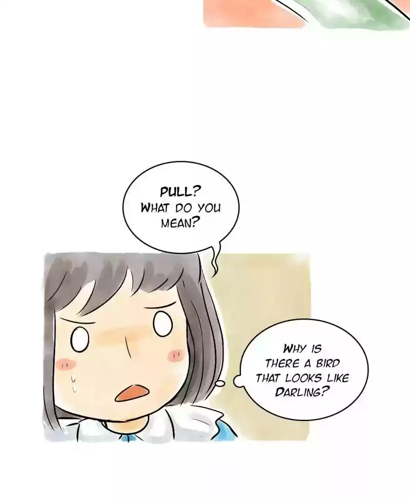 A Budgie's Life Chapter 121: Ep.121: