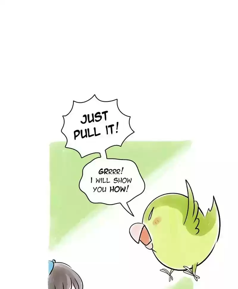 A Budgie's Life Chapter 121: Ep.121: