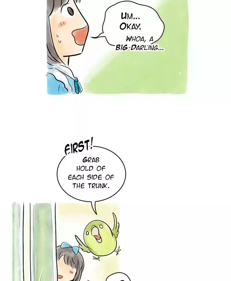 A Budgie's Life Chapter 121: Ep.121: