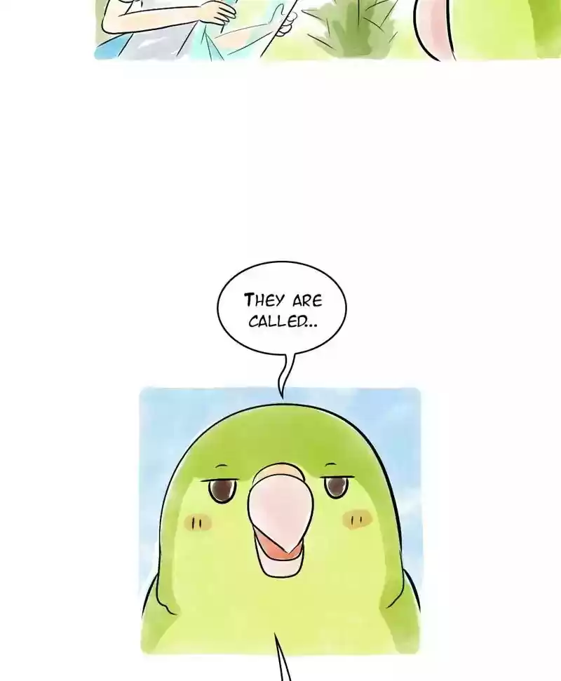 A Budgie's Life Chapter 121: Ep.121: