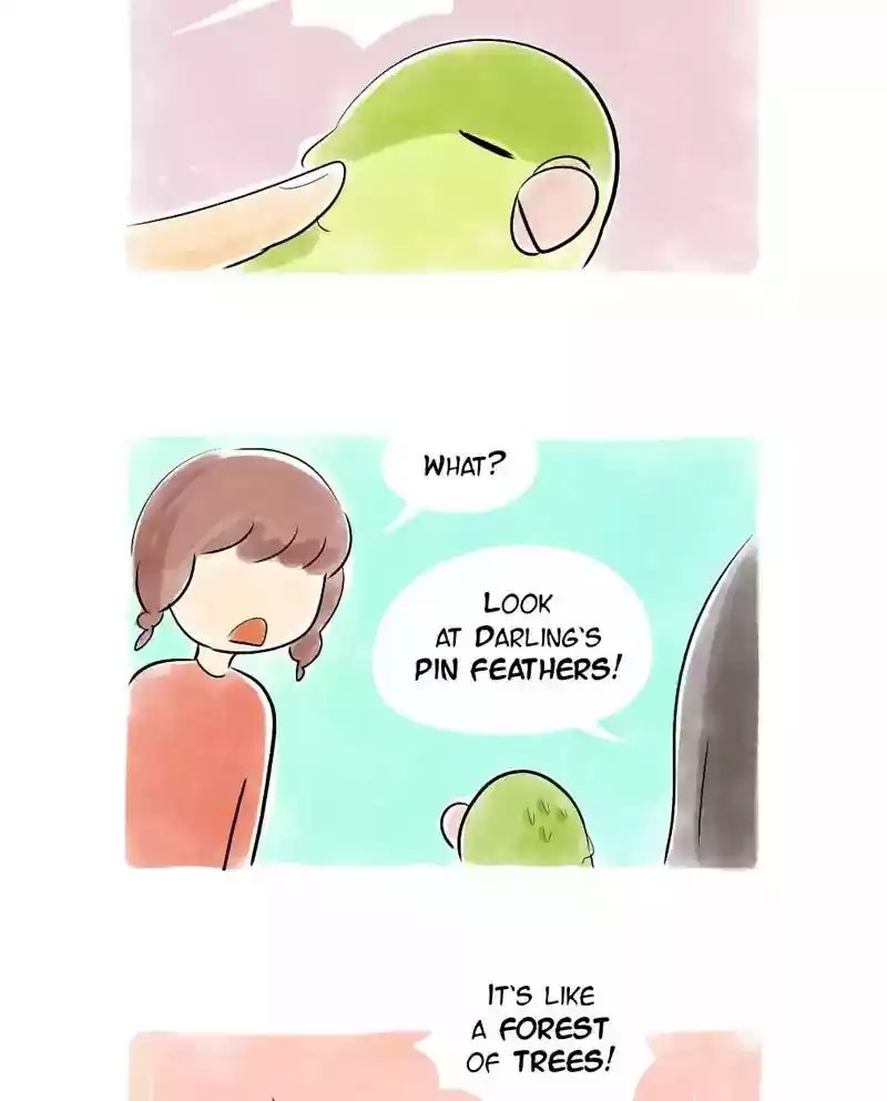 A Budgie's Life Chapter 121: Ep.121: