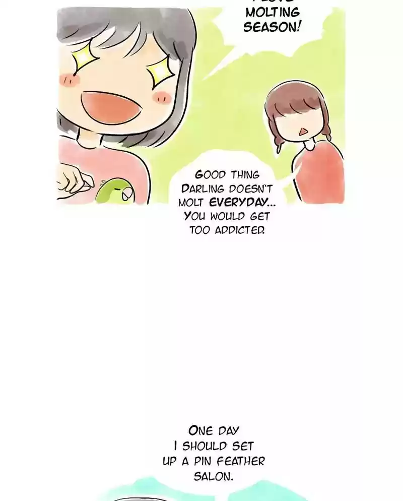 A Budgie's Life Chapter 121: Ep.121: