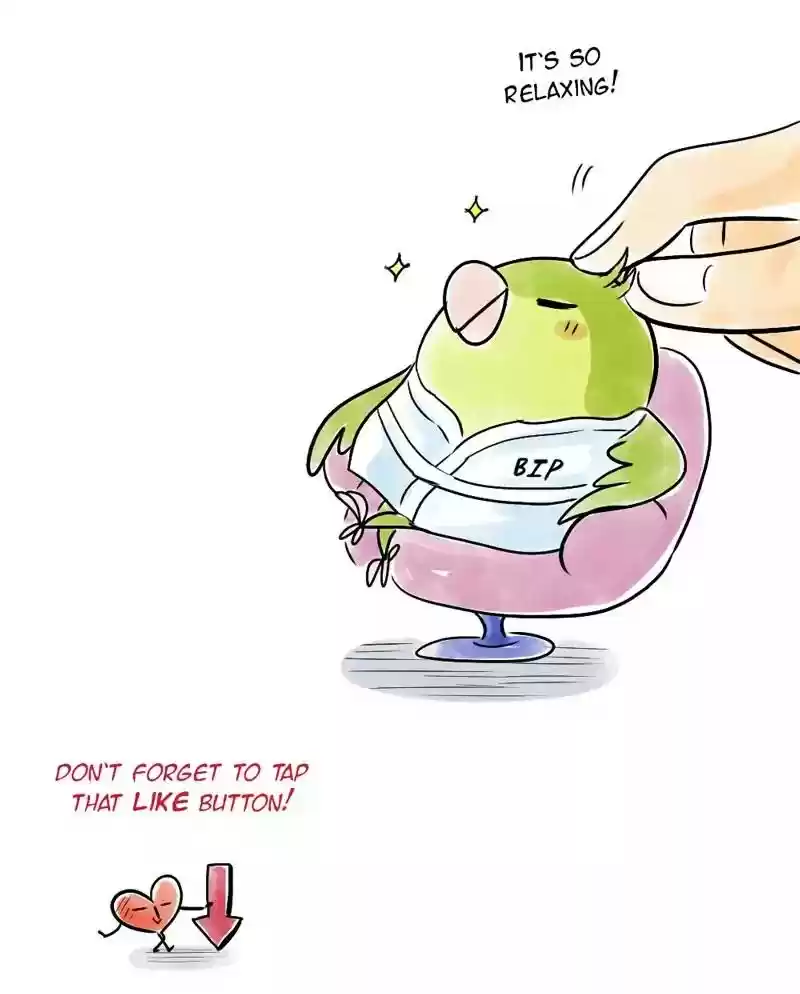 A Budgie's Life Chapter 121: Ep.121: