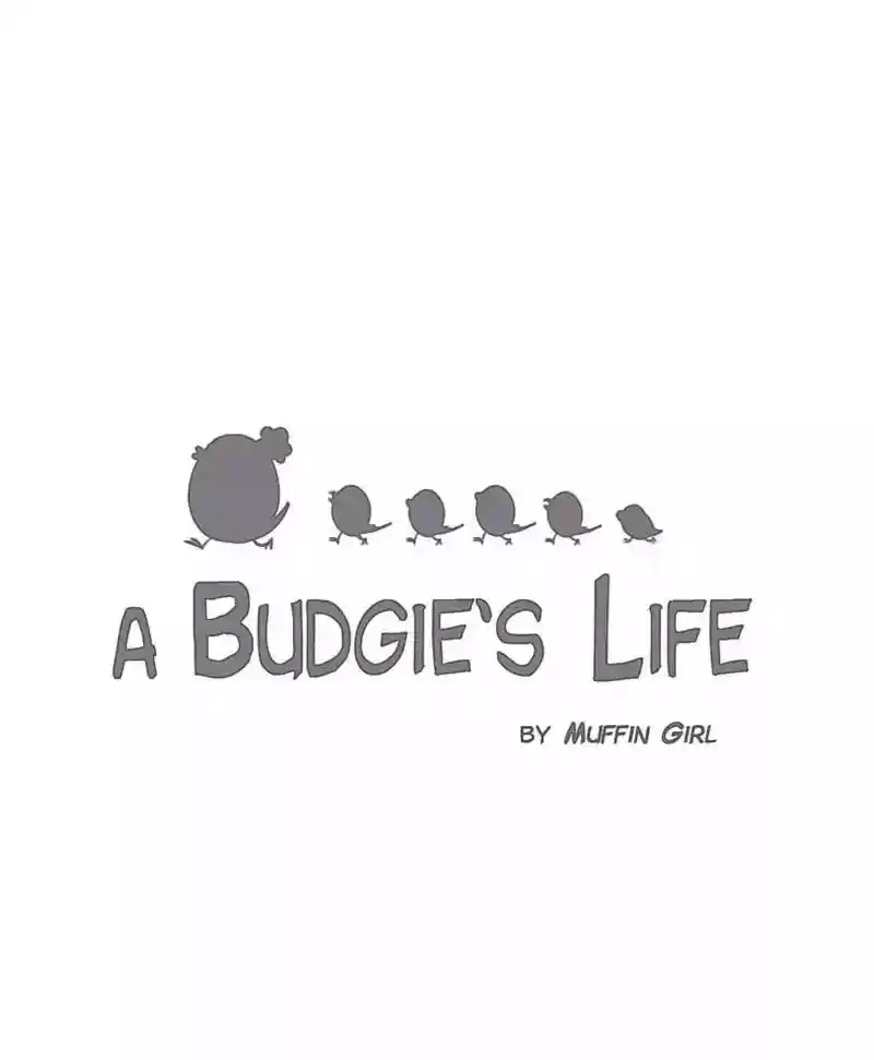 A Budgie's Life Chapter 122: Ep.122: