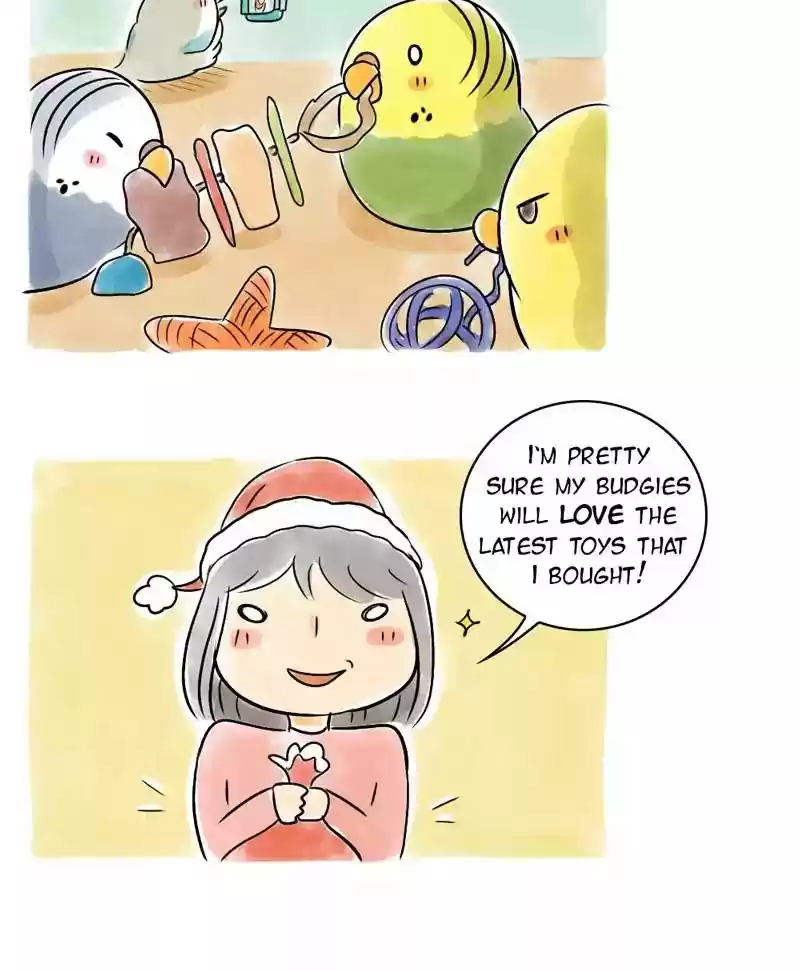 A Budgie's Life Chapter 122: Ep.122: