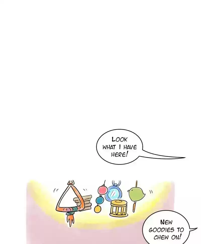 A Budgie's Life Chapter 122: Ep.122: