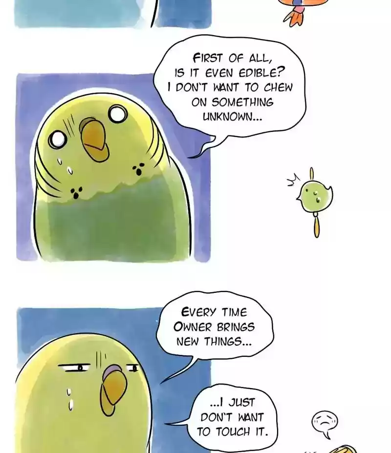A Budgie's Life Chapter 122: Ep.122:
