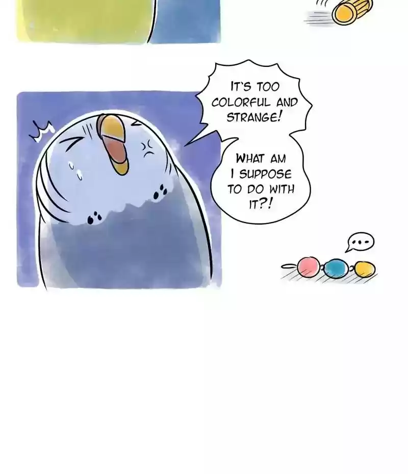 A Budgie's Life Chapter 122: Ep.122: