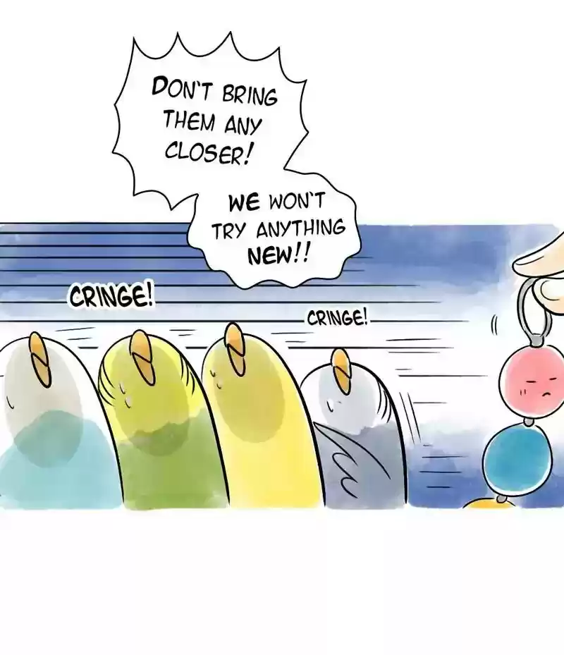 A Budgie's Life Chapter 122: Ep.122: