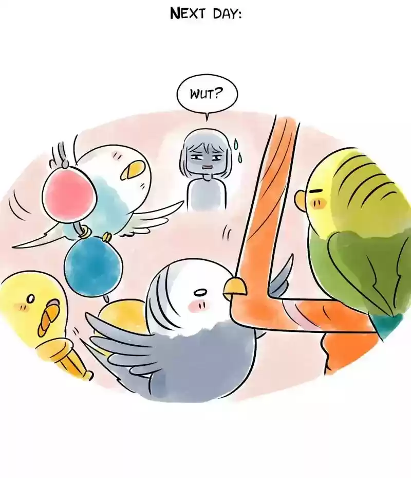 A Budgie's Life Chapter 122: Ep.122: