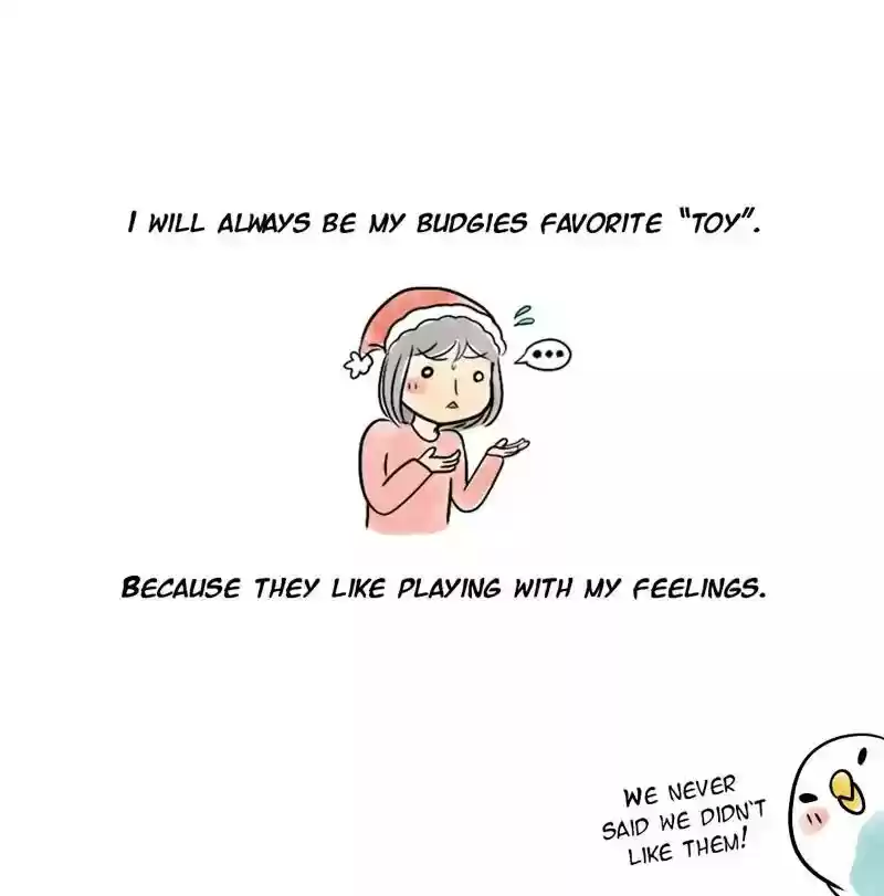 A Budgie's Life Chapter 122: Ep.122:
