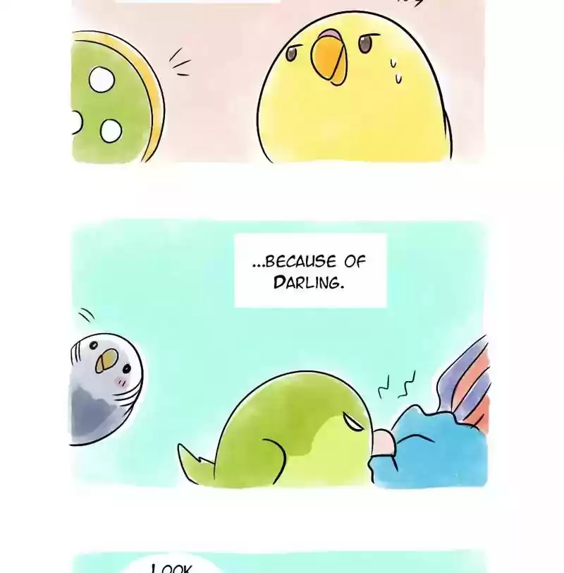 A Budgie's Life Chapter 122: Ep.122: