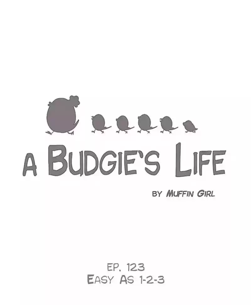A Budgie's Life Chapter 123: Ep.123: