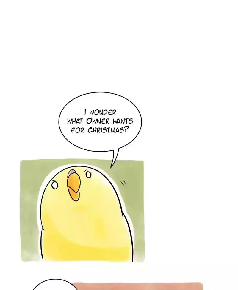 A Budgie's Life Chapter 123: Ep.123: